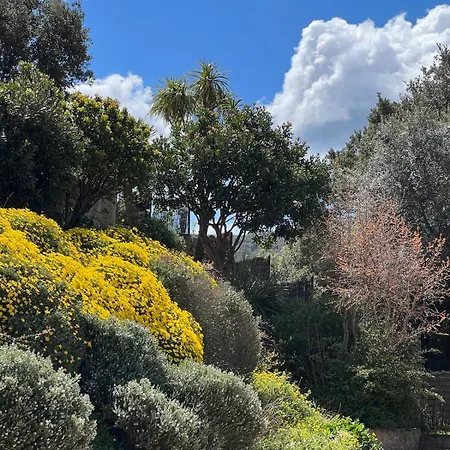 Βίλα Casa Campana Viggianello