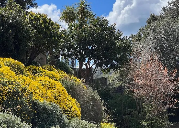 Villa Casa Campana Viggianello